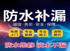 屋面渗水漏水维修 地下室渗水漏水维修